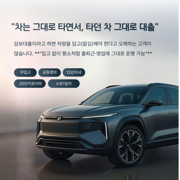 cvdf차량담보대출 (2)