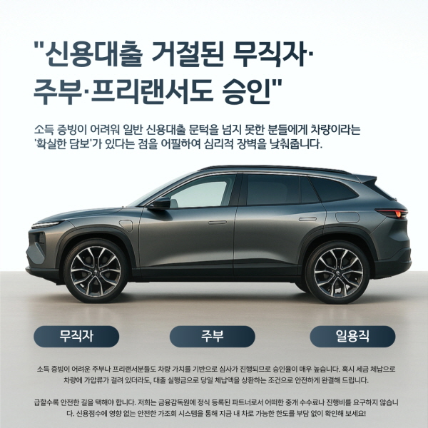 cvdf차량담보대출 (4)